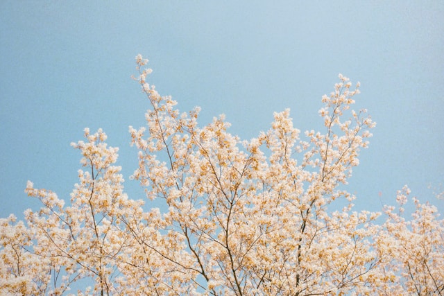 Spring Forward: How to Reset Your Health Habits for a Fresh Start