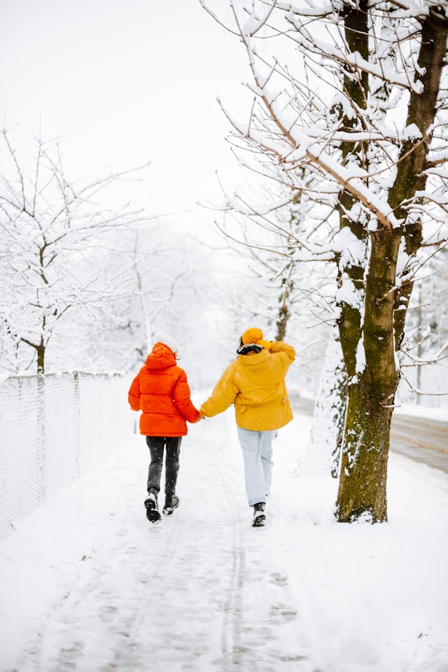 The Role of Telehealth in Staying Healthy This Winter